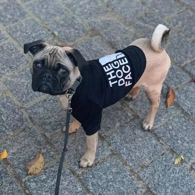 Sweatshirt for French Bulldogs, Chihuahuas, and Small to Medium Dogs