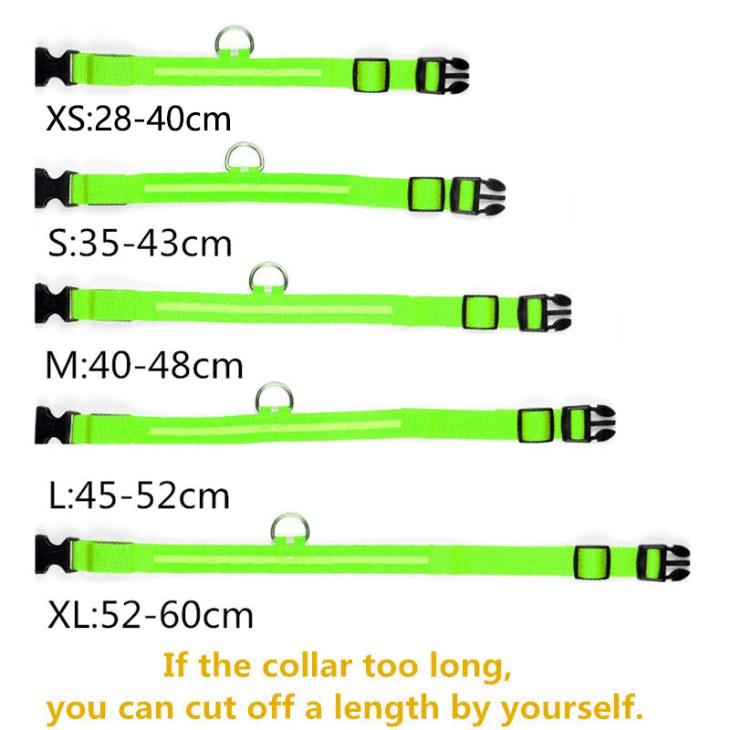 LED Glowing Dog Collars - Pet Market Palace