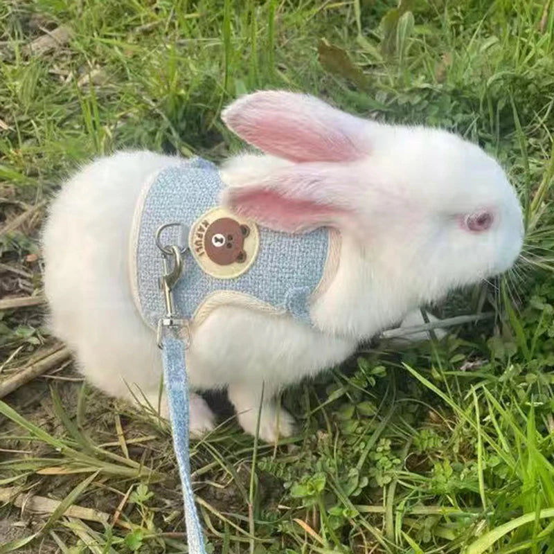 Cute Rabbit Harness and Leash - Pet Market Palace