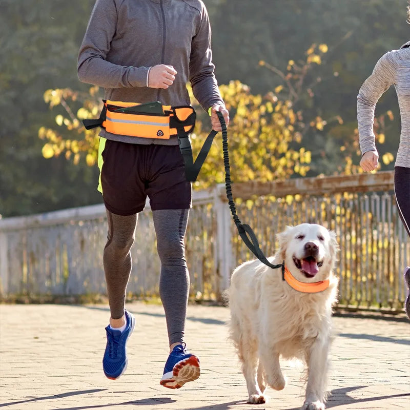 Jog With Your Dog - Fabulously Comfortable Hands Free Dog Leash