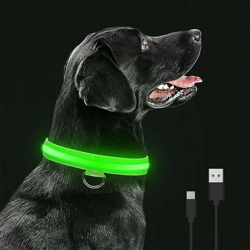 LED Glowing Dog Collars - Pet Market Palace