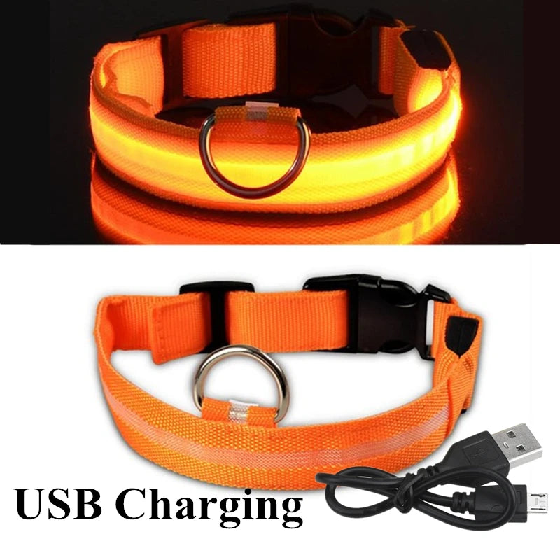 LED Glowing Dog Collars - Pet Market Palace