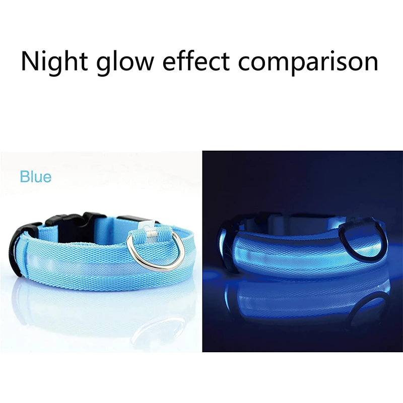 LED Glowing Dog Collars - Pet Market Palace