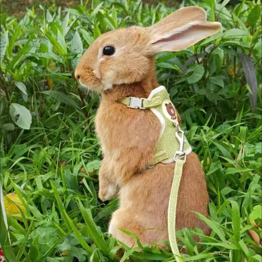 Cute Rabbit Harness and Leash - Pet Market Palace