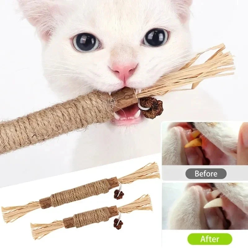 Chew Stick Toy  for Cleaning Cat's Teeth - Pet Market Palace