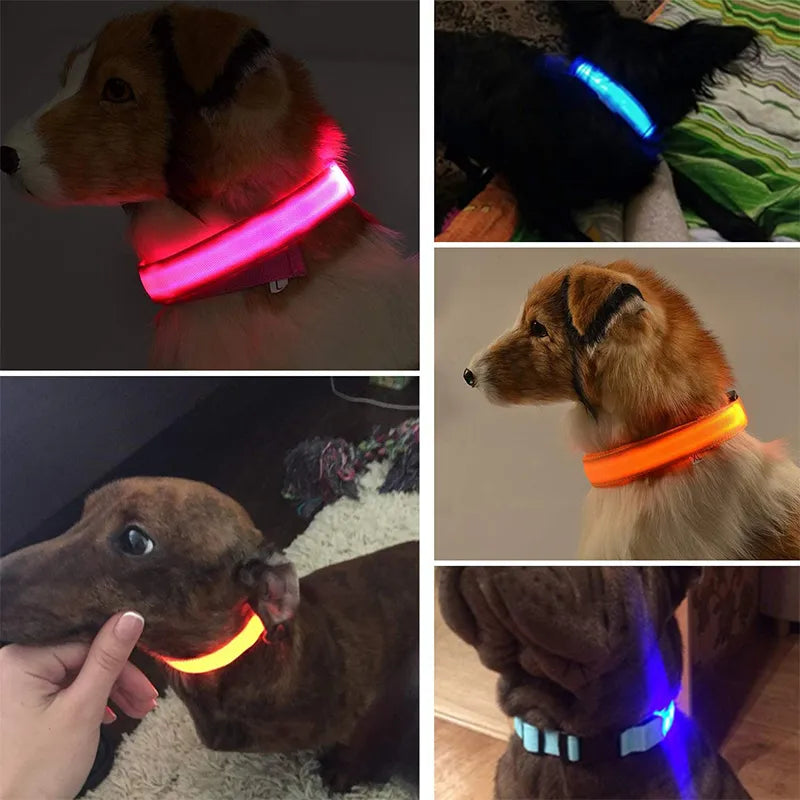 LED Glowing Dog Collars - Pet Market Palace