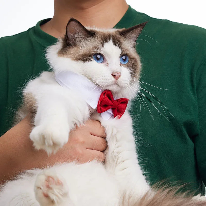 Pets Collar Bow Tie - Pet Market Palace