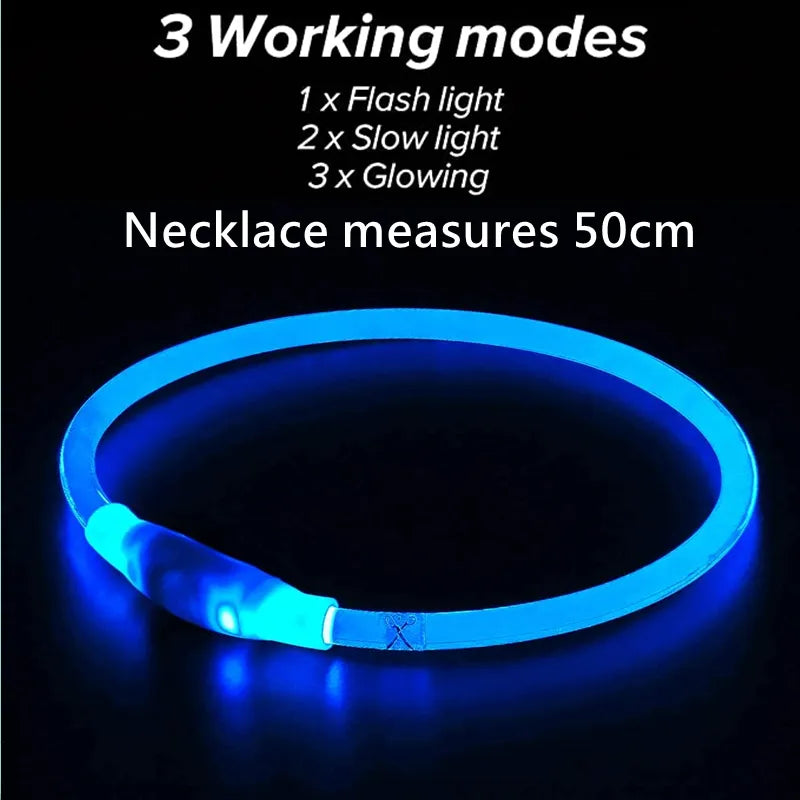 Luminous  Led Dog Collar - Pet Market Palace