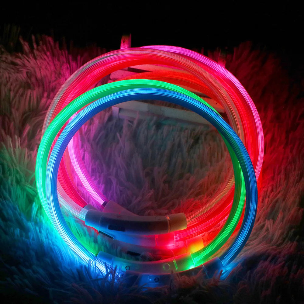 Luminous  Led Dog Collar - Pet Market Palace