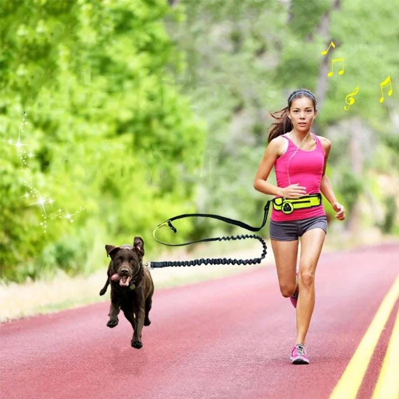 Jog With Your Dog - Fabulously Comfortable Hands Free Dog Leash