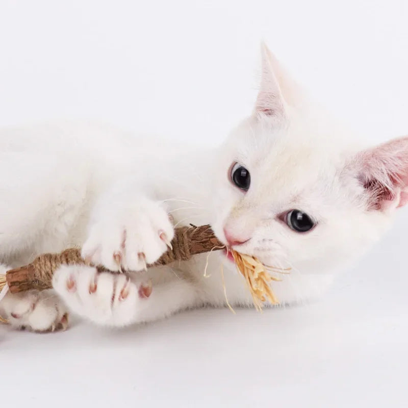 Chew Stick Toy  for Cleaning Cat's Teeth - Pet Market Palace