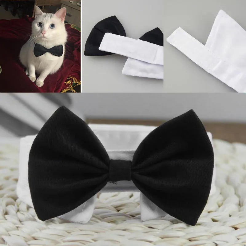 Pets Collar Bow Tie - Pet Market Palace