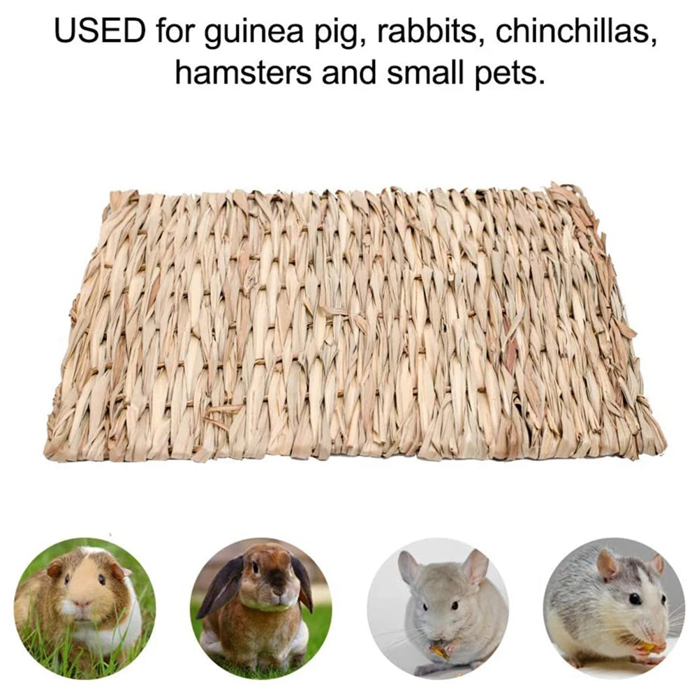 Rabbit, Chinchilla, Guinea Pig, Hamster Chew Mat