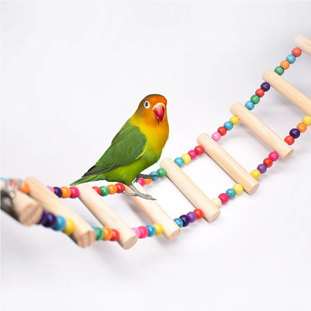 Parrot Hanging Ladder Bridge