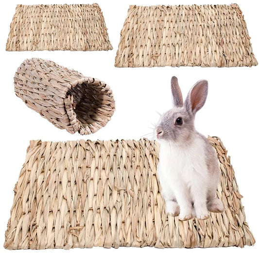 Rabbit, Chinchilla, Guinea Pig, Hamster Chew Mat