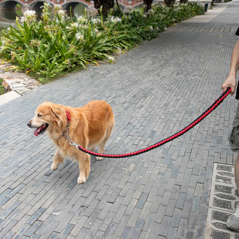 Strong & Durable Dog Leash with Heavy-Duty Buckle – Ideal for Big Breeds