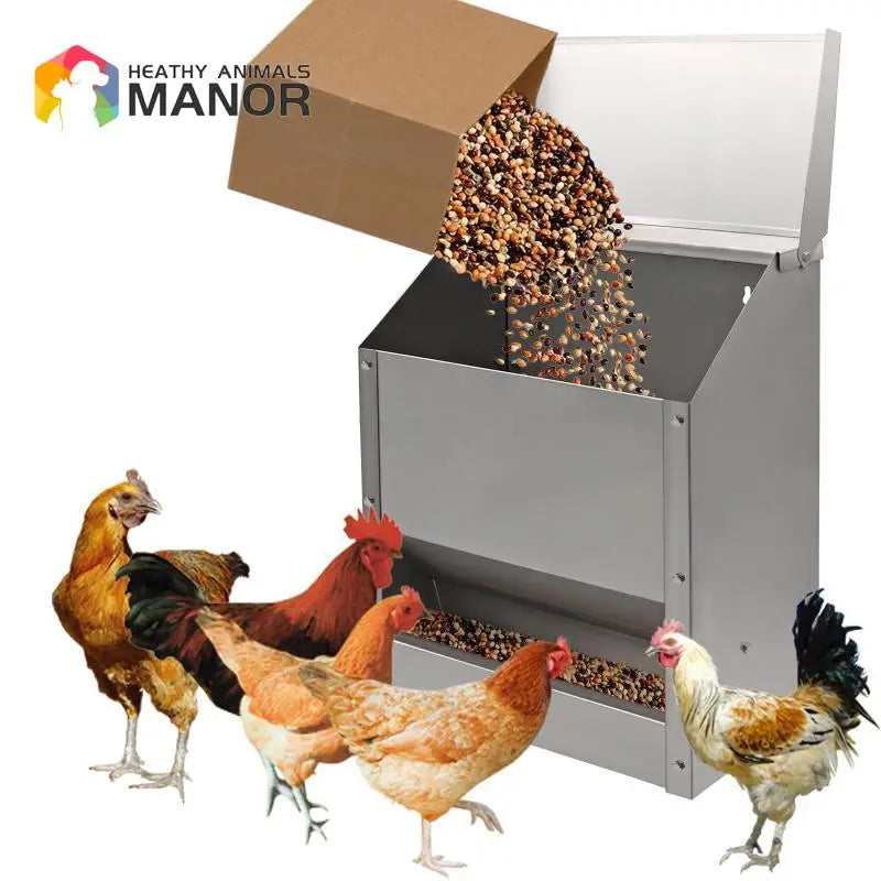 10L Stainless Steel Chicken Feed