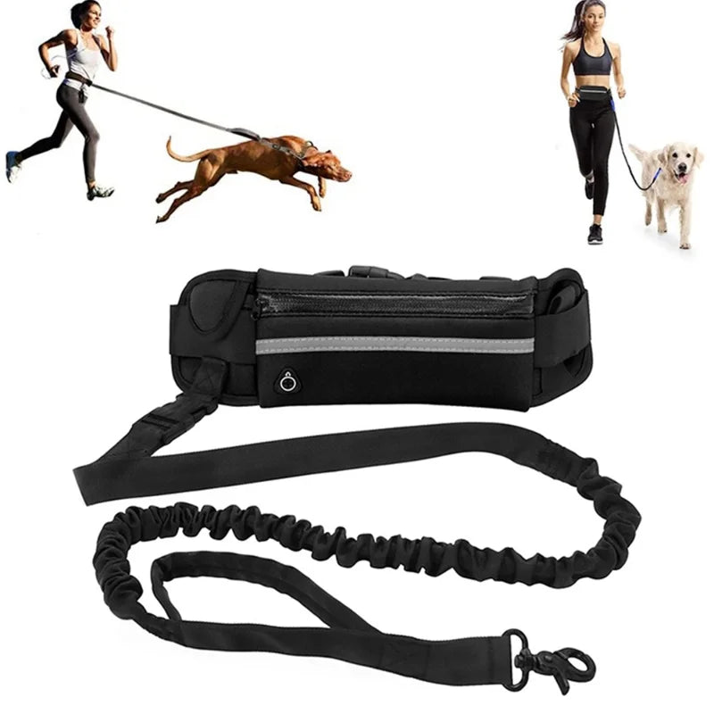 Jog With Your Dog - Fabulously Comfortable Hands Free Dog Leash