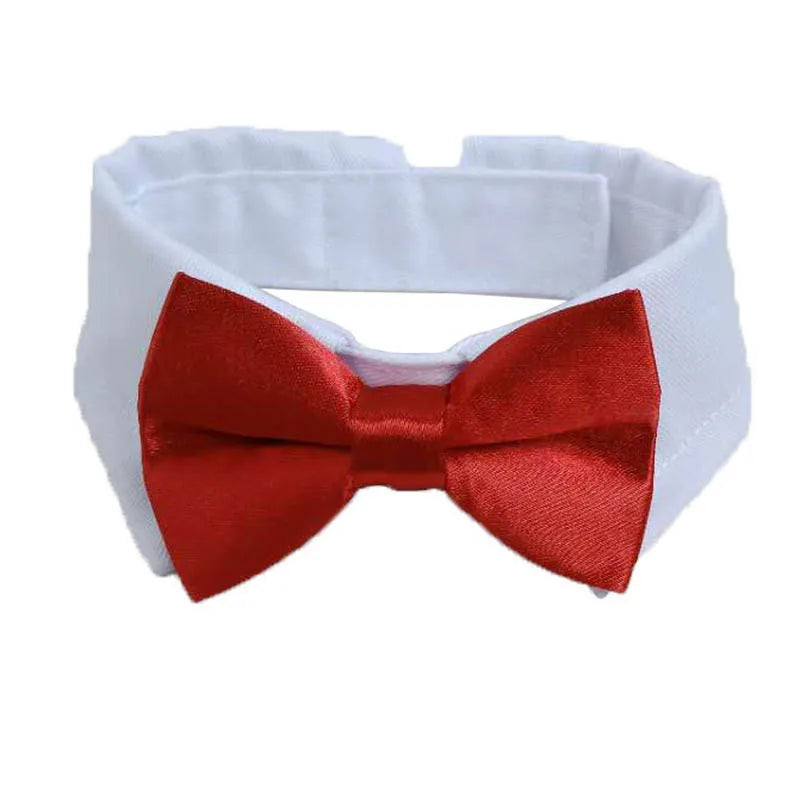 Pets Collar Bow Tie - Pet Market Palace