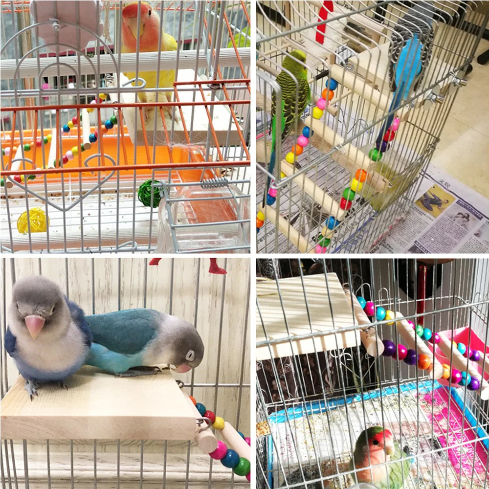 Parrot Hanging Ladder Bridge