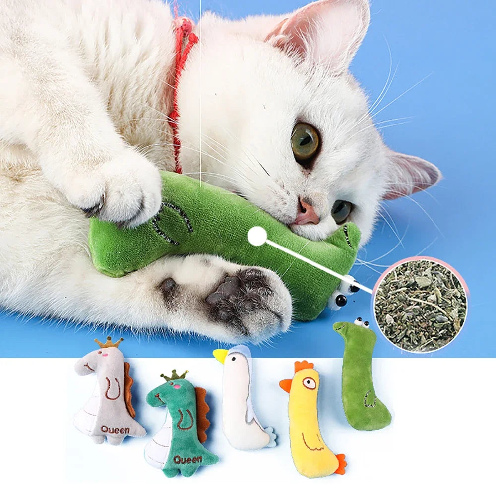 Catnip Pets Toy - Pet Market Palace