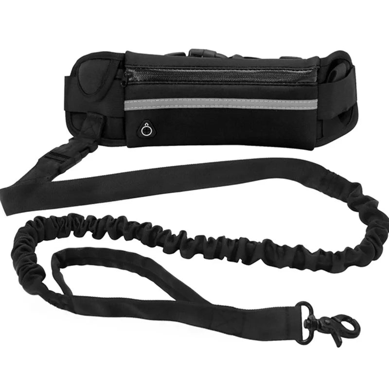 Jog With Your Dog - Fabulously Comfortable Hands Free Dog Leash