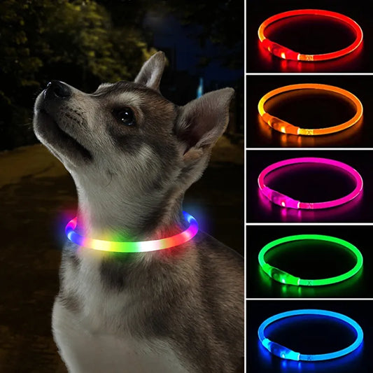 Luminous  Led Dog Collar - Pet Market Palace