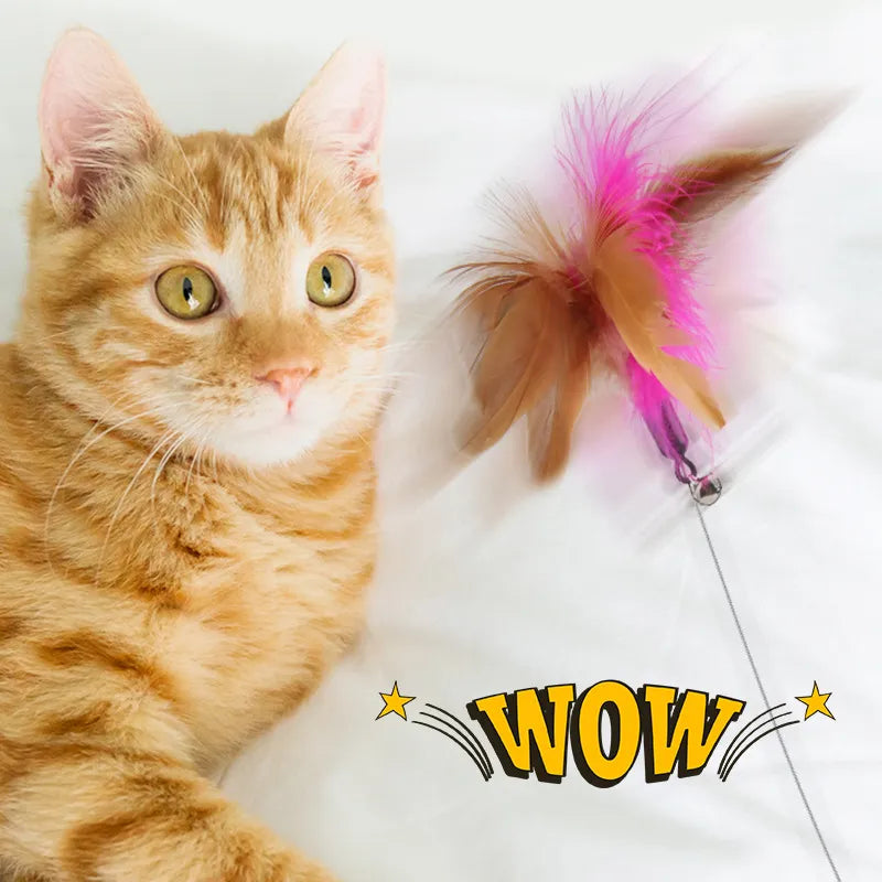 Interactive Collar Cat Toy, Funny Feather Teaser Stick with Bell - Pet Market Palace