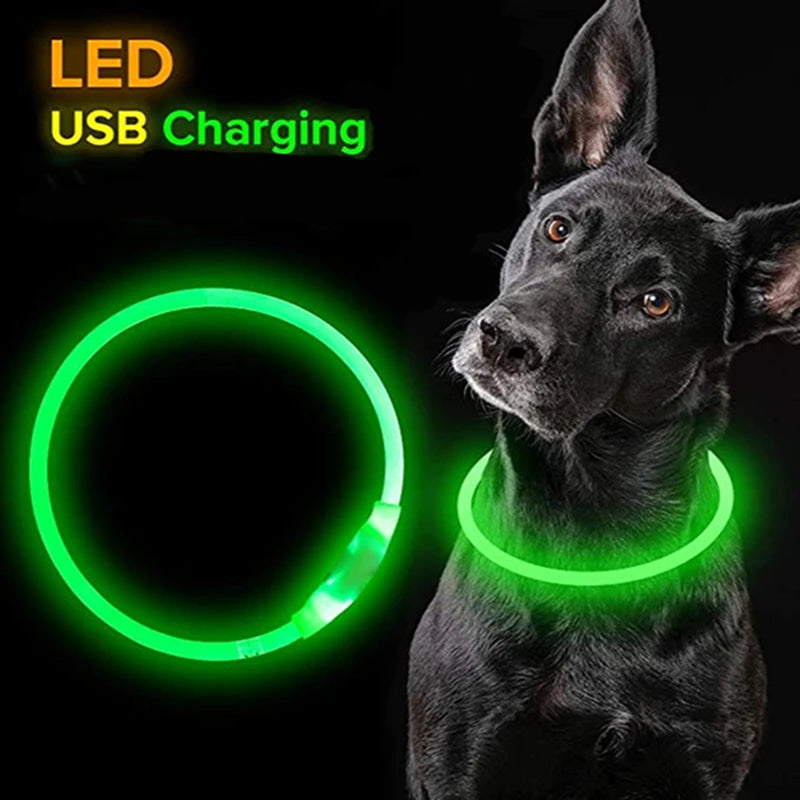 Luminous  Led Dog Collar - Pet Market Palace