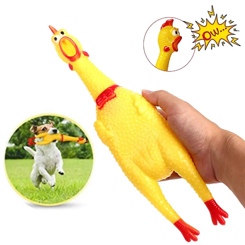 Screaming Chicken Squeezing Sound Toy - Pet Market Palace