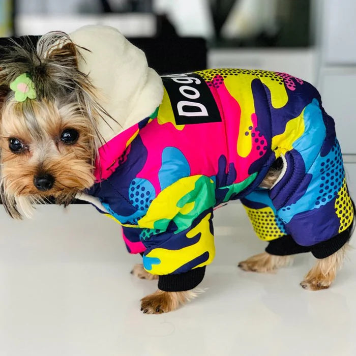 Waterproof Colourful Dog Hoodie