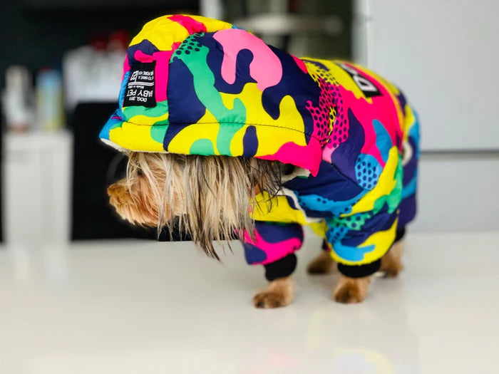 Waterproof Colourful Dog Hoodie